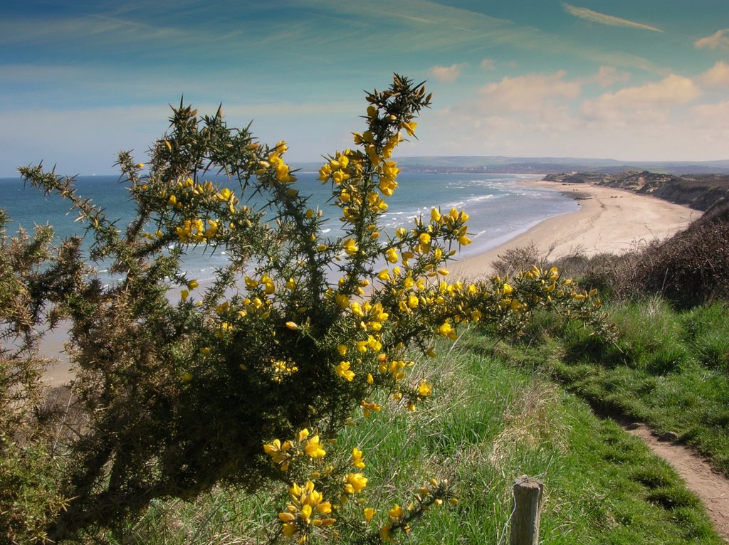 Cap Gris Nez: plage de Wissant by marcobel