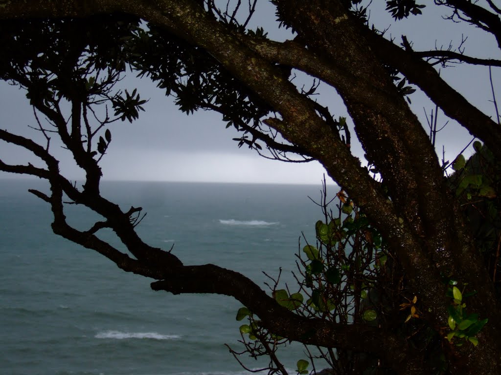 View from Back Beach by dengynz