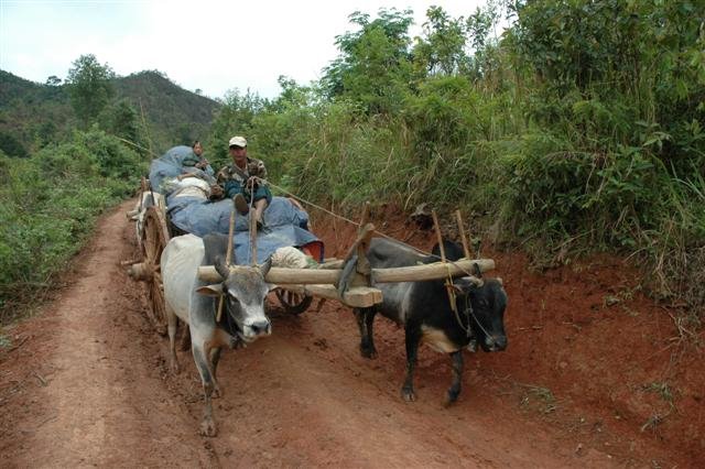 Farmer in the mountains of Kalaw by Honselaar