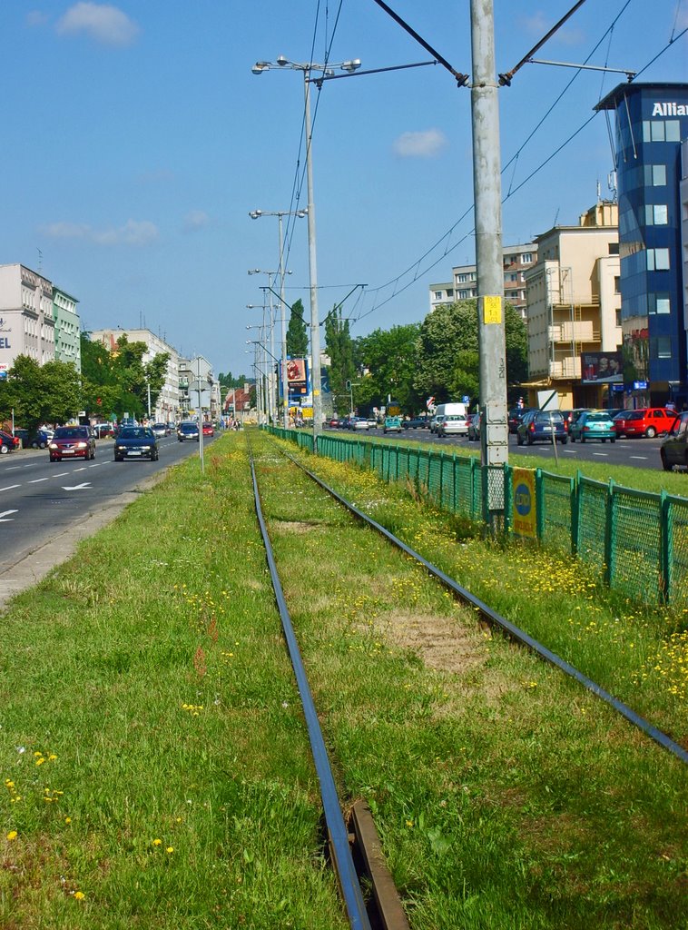 Auf den Straßenbahngleisen by tumblr.tk