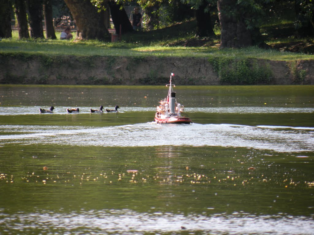 Villon Puccini - Giant ducks? by Diego Loi