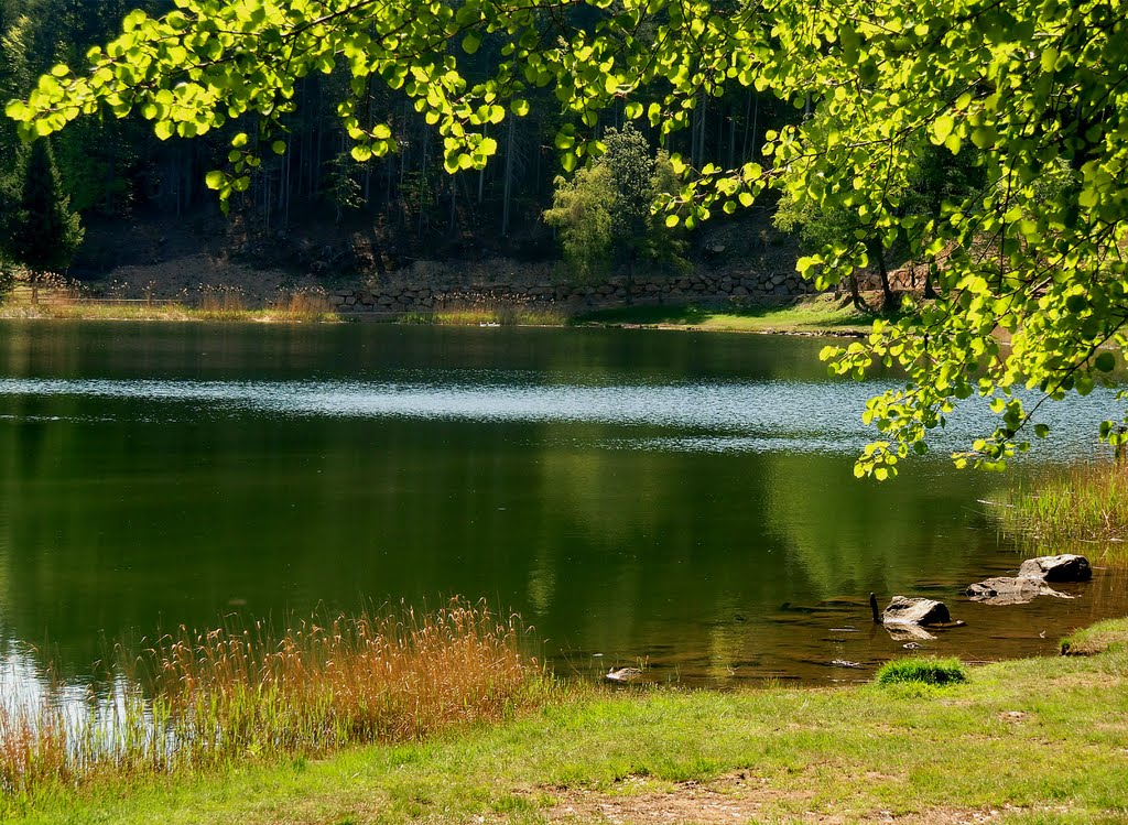 Lago Santo by Karl Demetz