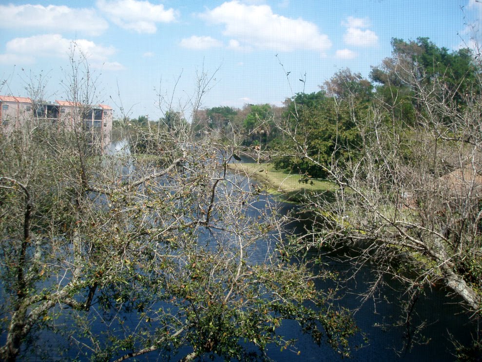 Coconut Creek, FL by Veronikanov