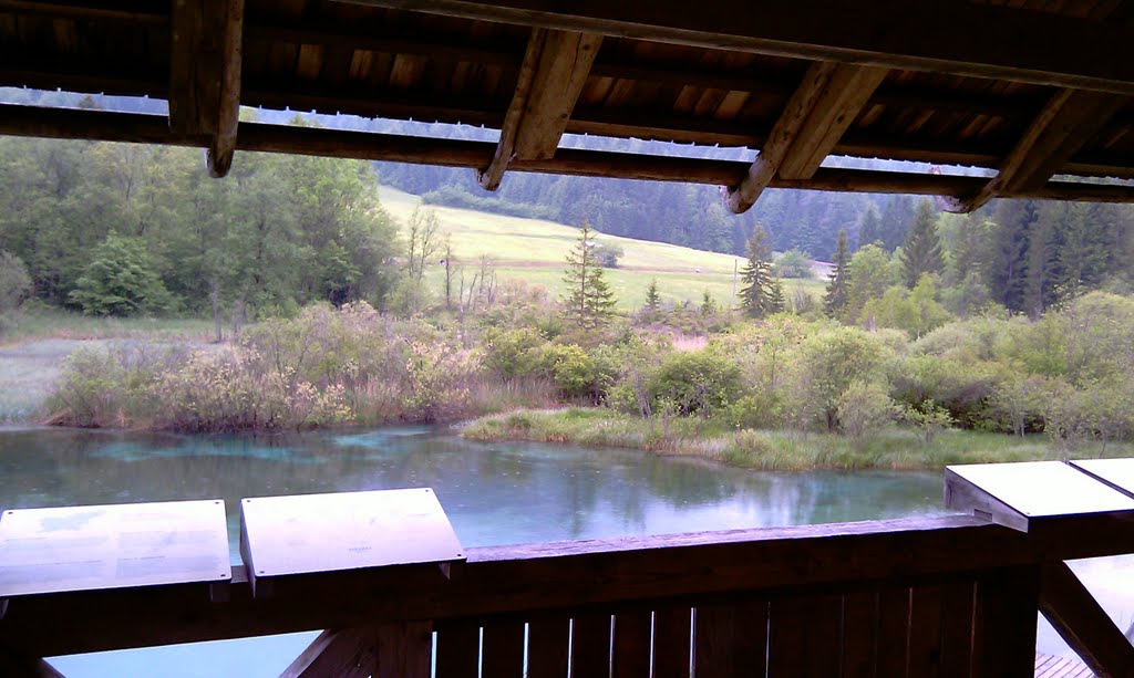 Zelenci Spring, Slovenia - Rock Pools - Viewing platform by TerryHD2