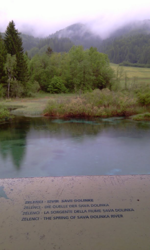 Zelenci Spring, Slovenia - Rock Pools - Viewing platform by TerryHD2