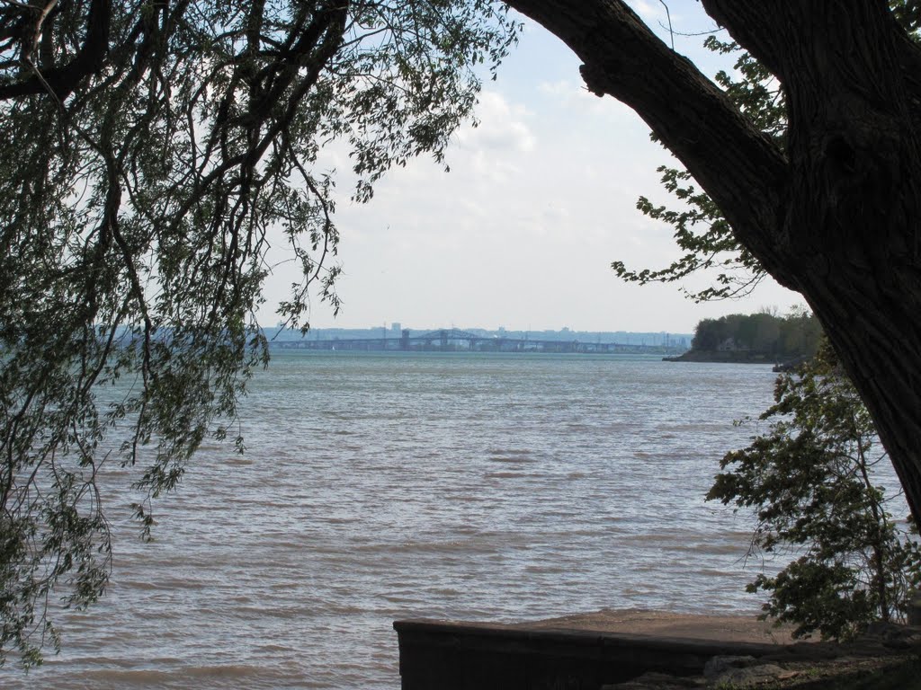 Skyway from Palletta Park by natureguy42