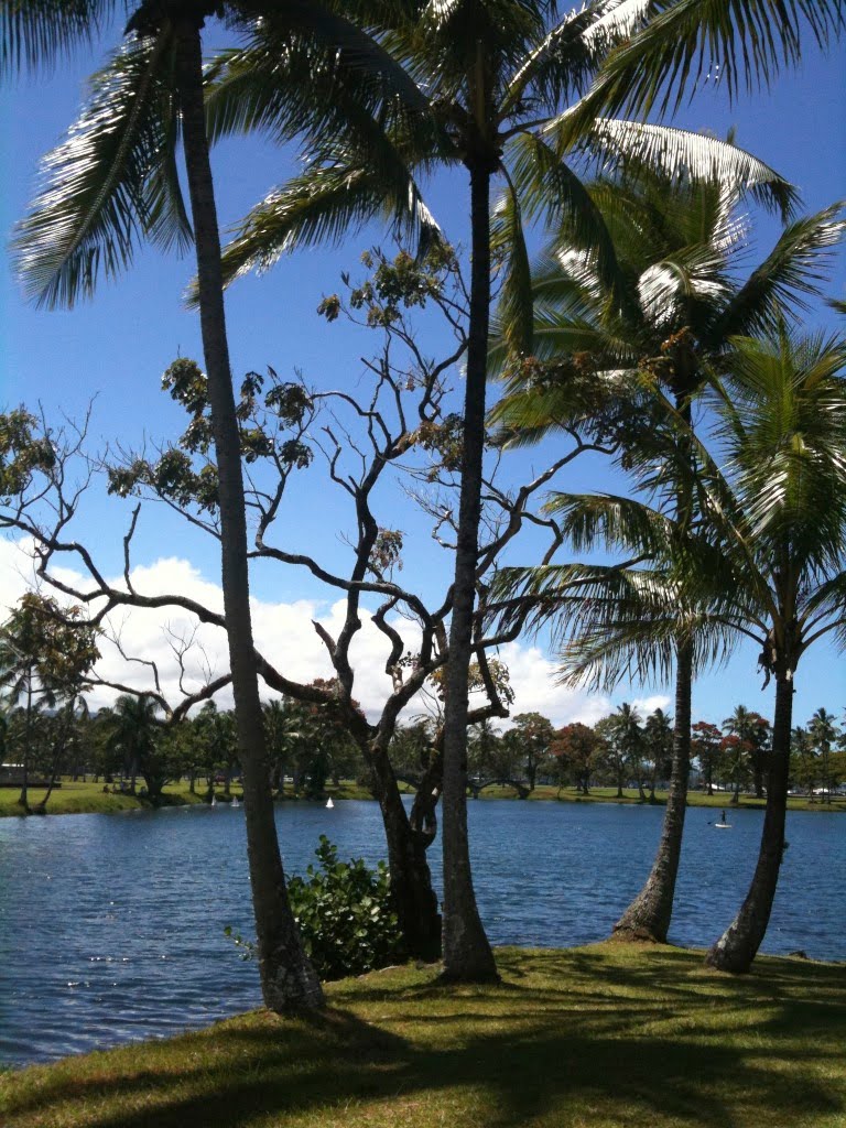 Waiakea Pond by ellibean