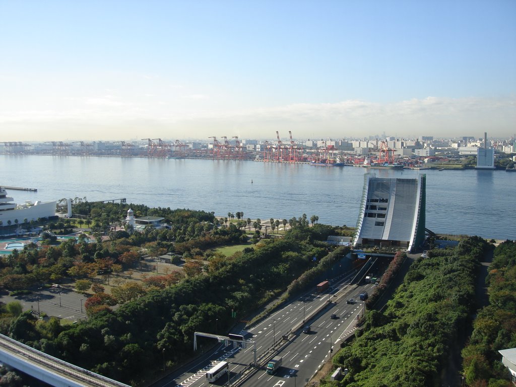 Tokyo Bay view by EugeneGuzhikov