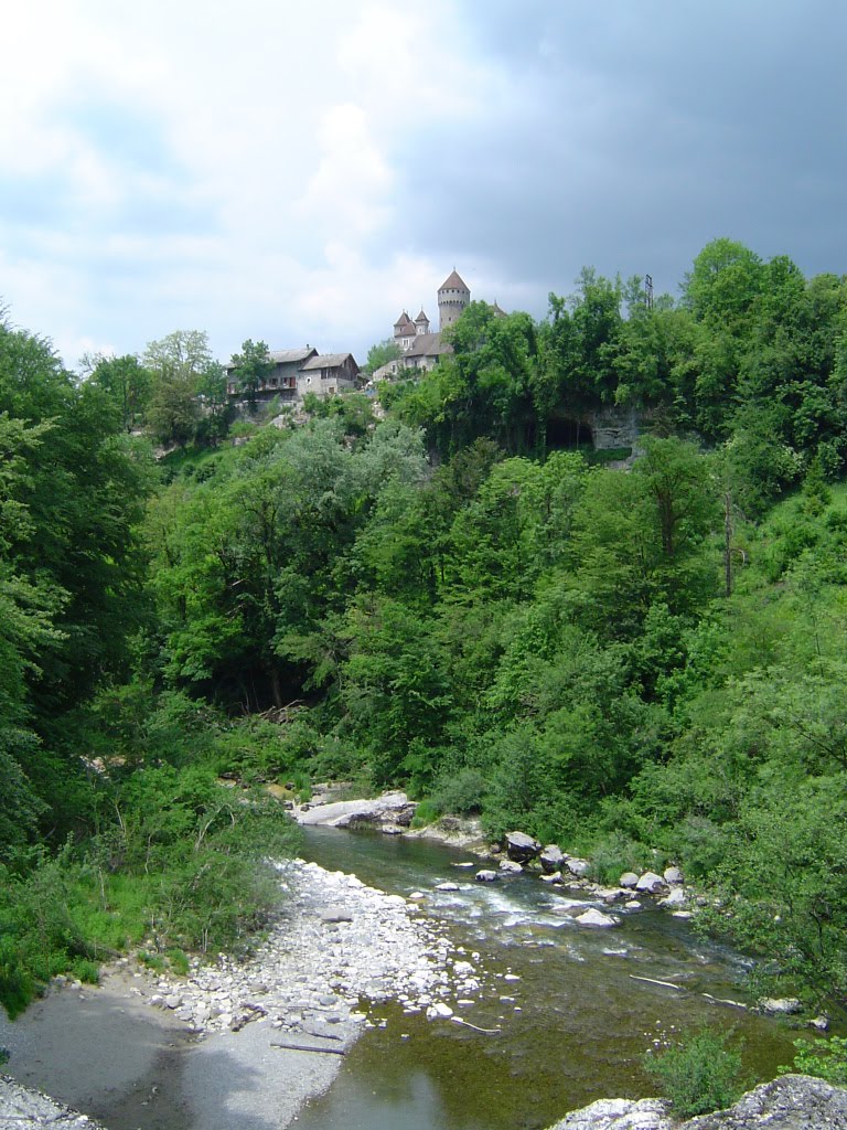 Le Chateau de Montrottier vu des Gorges du Fier by nicolethiemonge