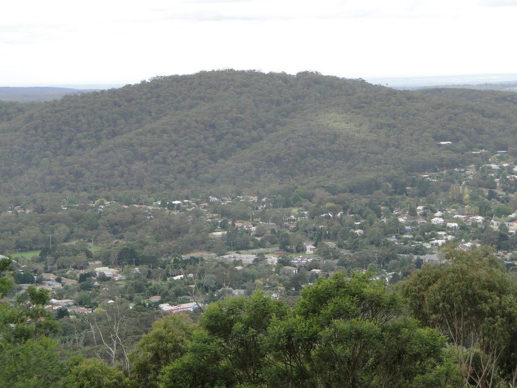 Mt Aleaxandra by Adrian Lehmann