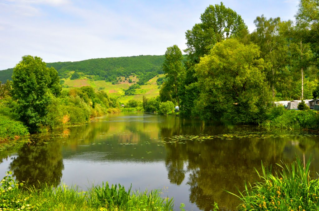 Laach Nehren Mosel by Heinz Peierl