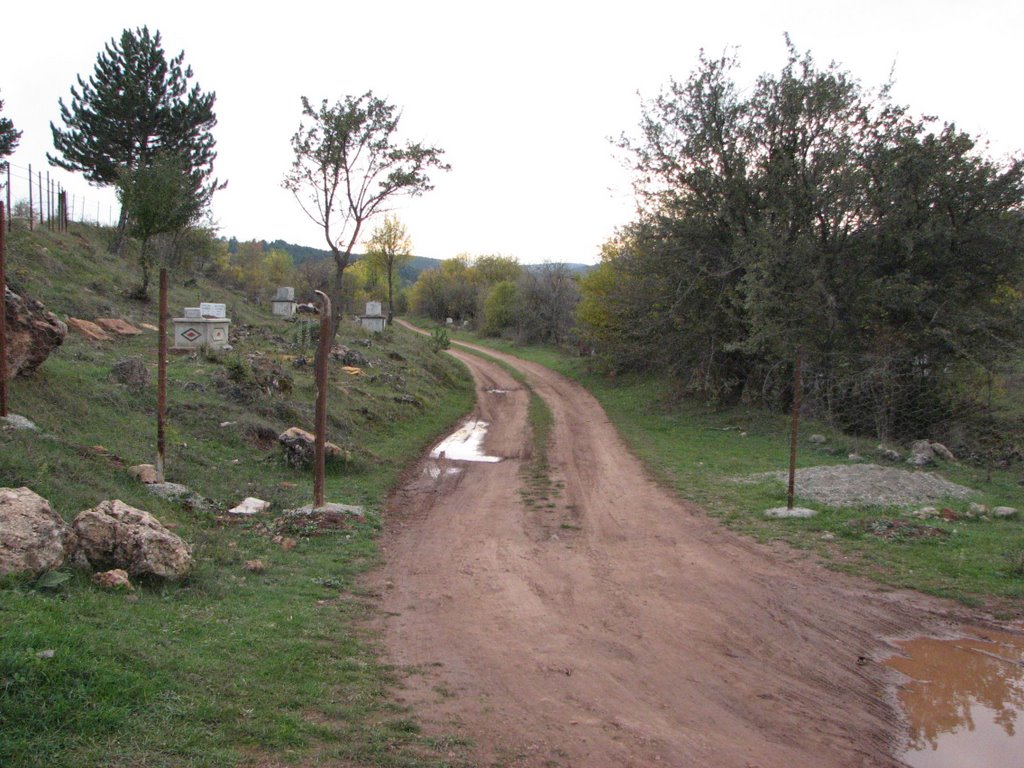 Şevkiler Köy Mezarlığı Girişi by Balcı Murat