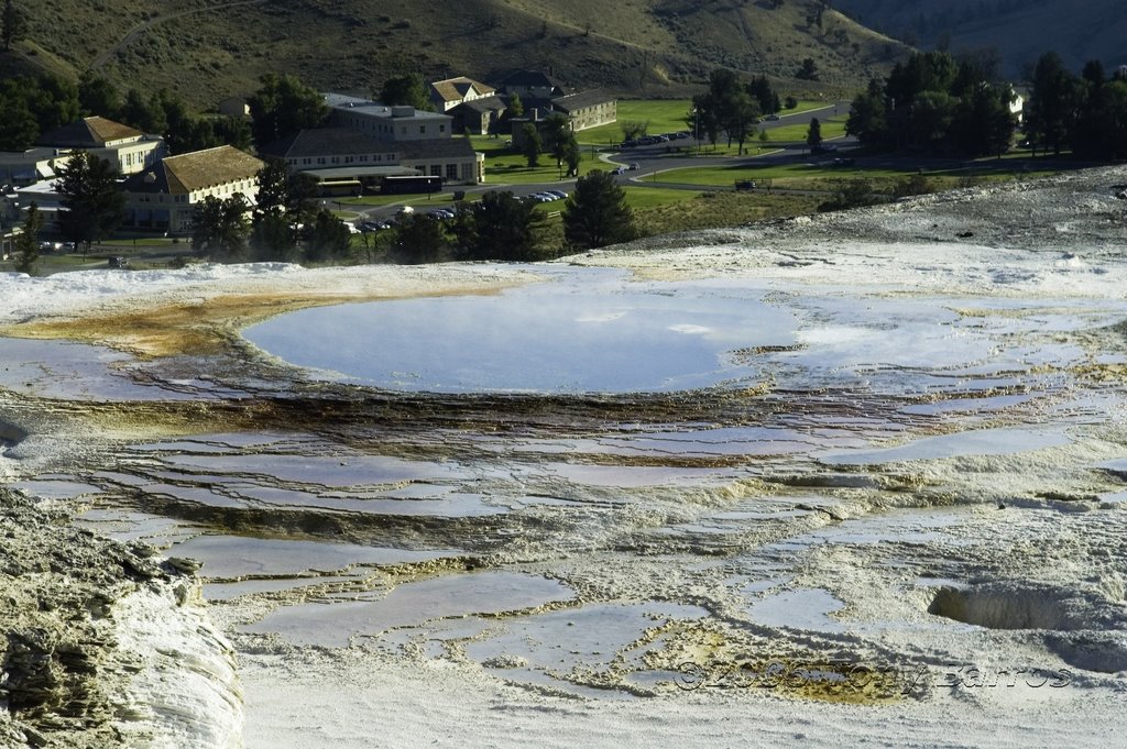 Mammoth Hot Springs YNP by tbarros