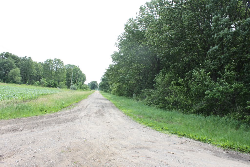 Vacant Road of Beaverville by keithyearman