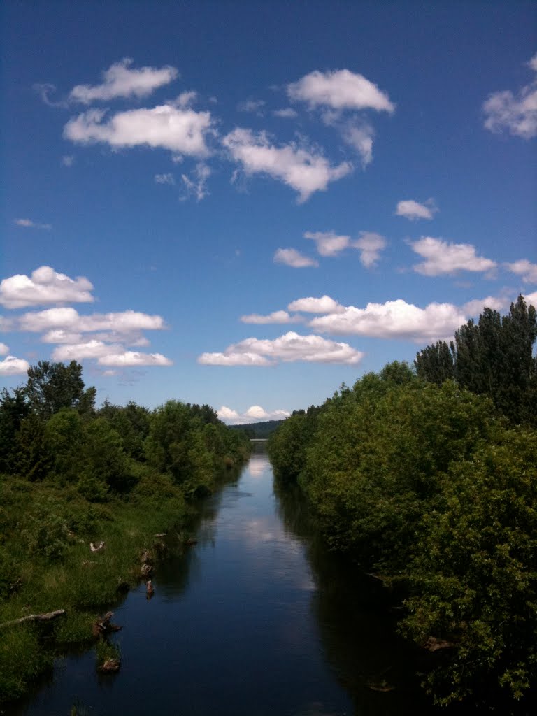 Sammamish River from the 116th St Bridge by bobd