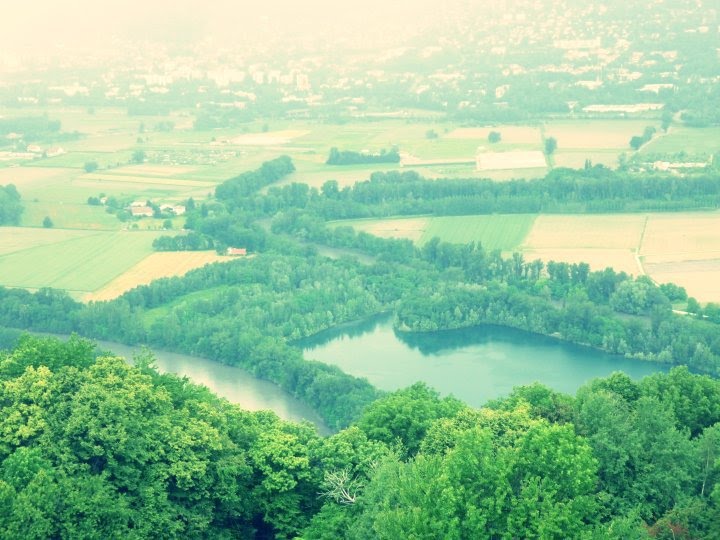 Vue de l'arbre de Venon by hel.C