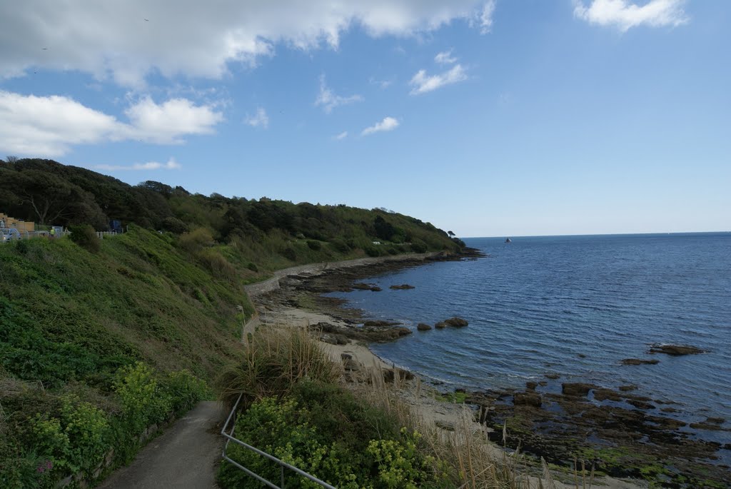 Falmouth Shoreline by njellis