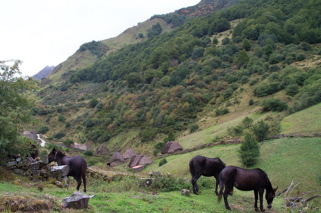 Somiedo - Braña de La Pornacal by isol