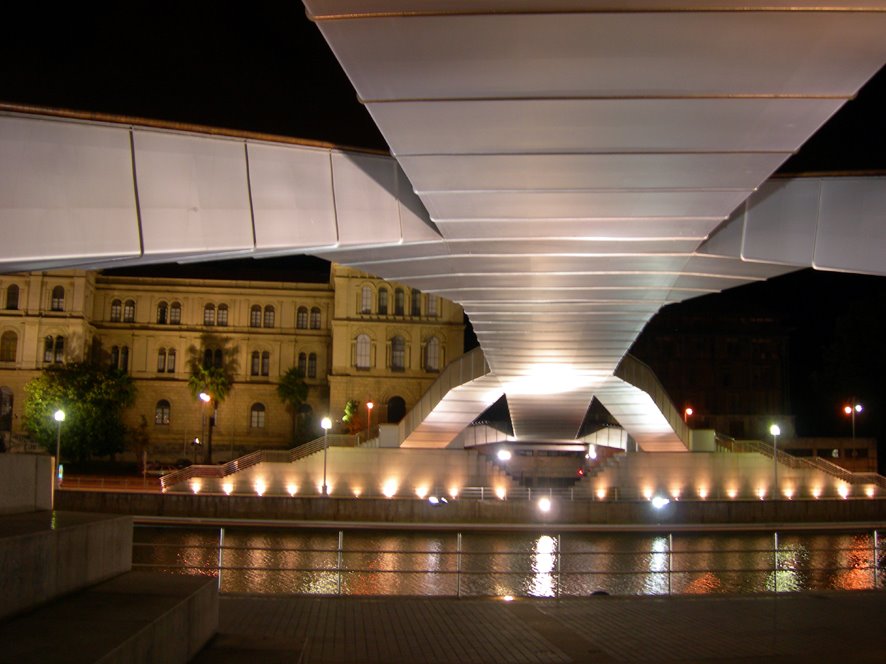 Debajo del puente Abandoirabba by Liliana Pollara