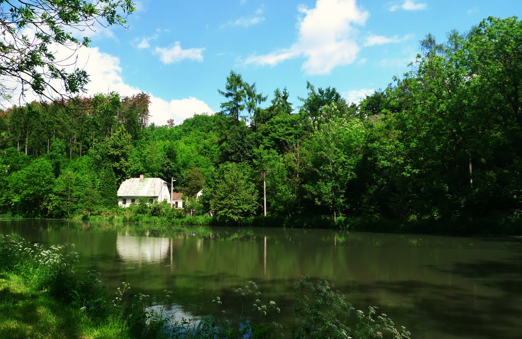 Former gamekeeper's lodge by Haselbach R.