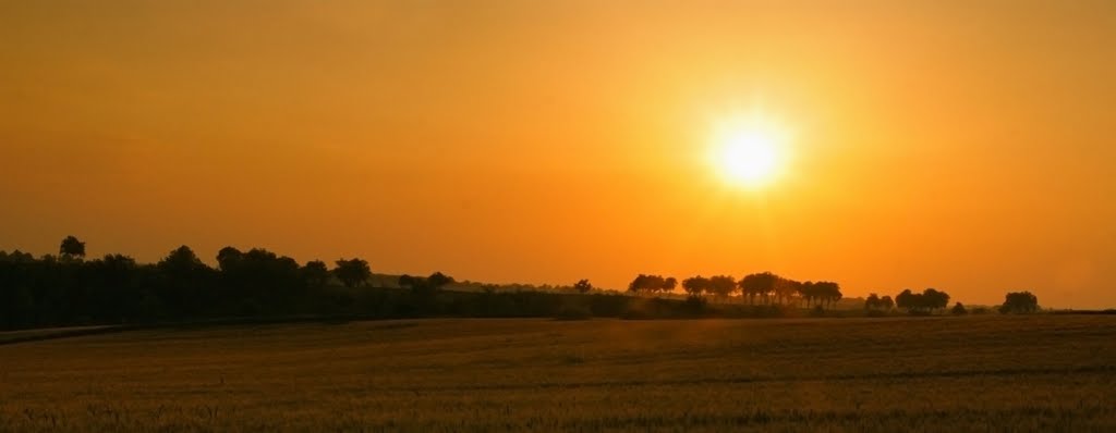 Cologne sunset by Stubba