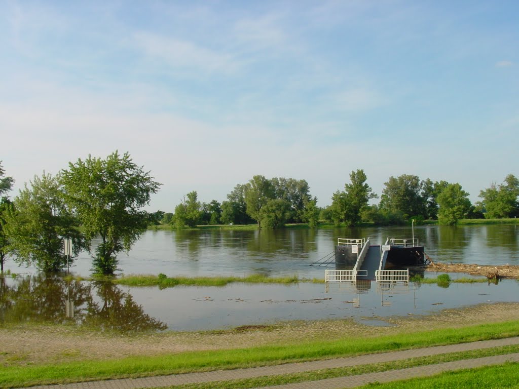 Elbhochwasser im Juni 2010 by S. Praetorius