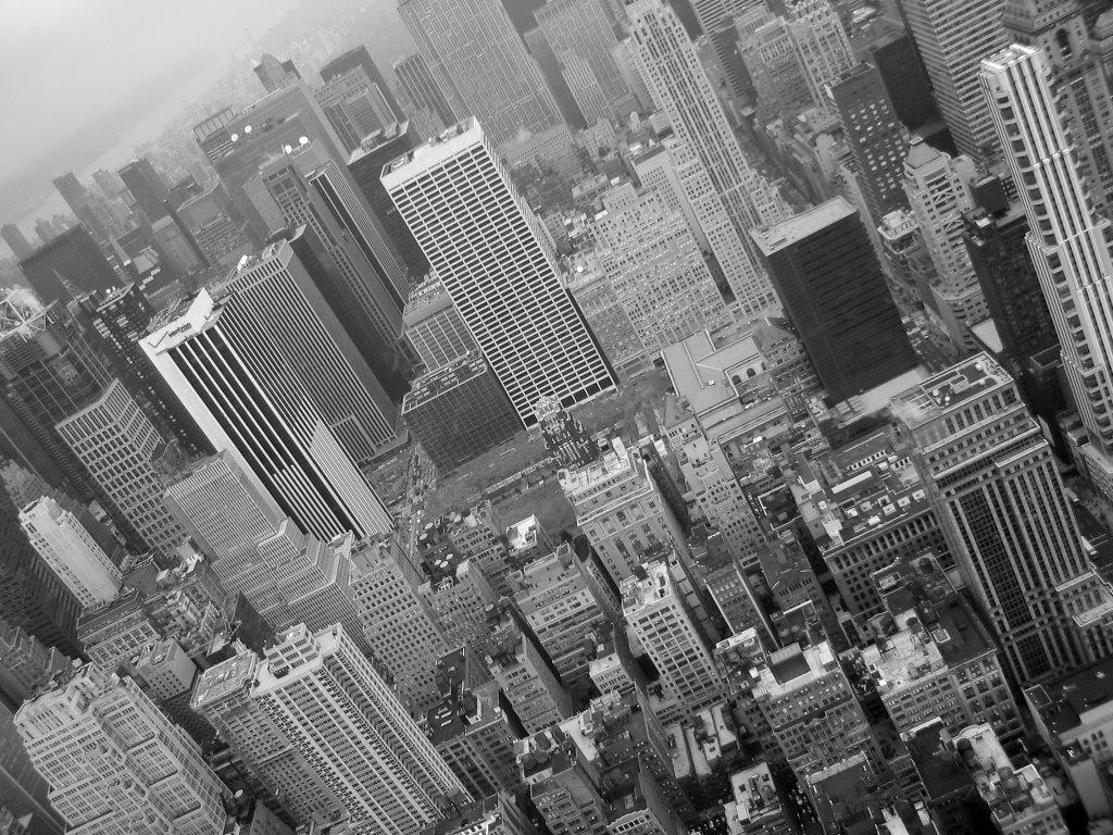 from Empire State Building by bertolucci