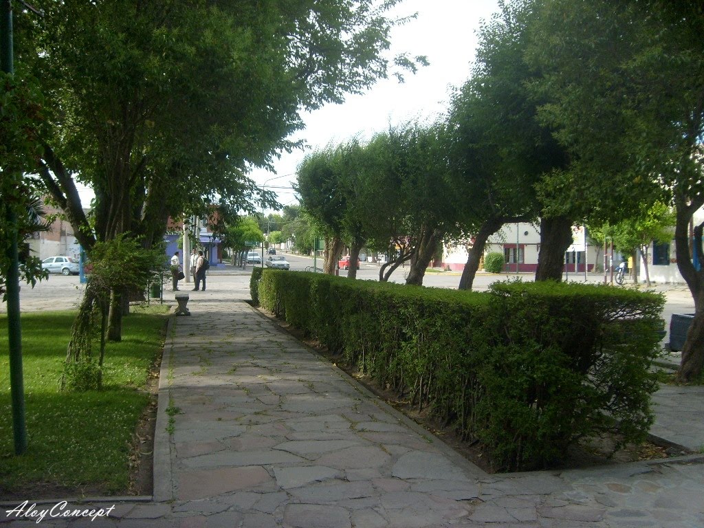 Plaza de Gaiman - Colonia galesa en el Chubut by LichuKnzpt