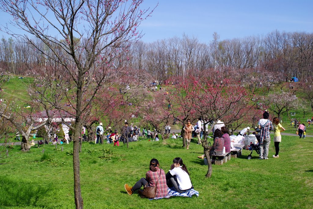 平岡公園、梅のお花見 2 by Donkou.T