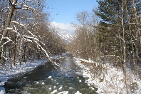 Wintery Brook by Reid B