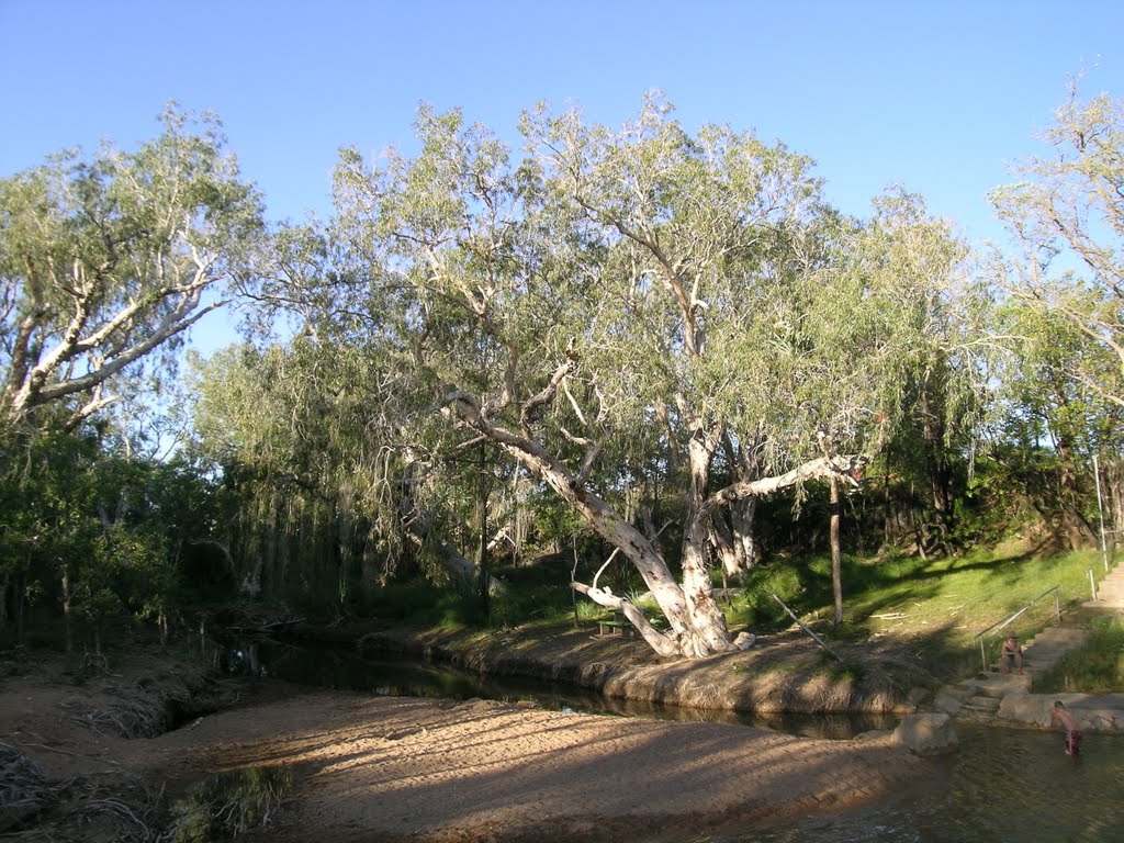 Water hole by P. Feikema