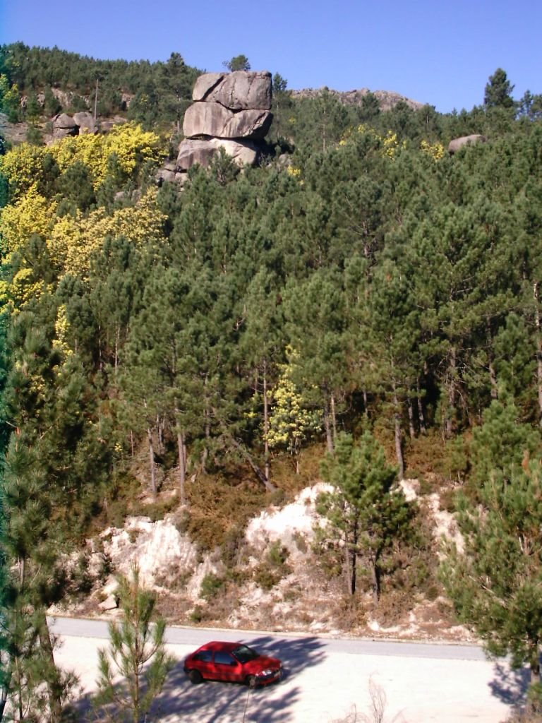 Gerês by Bruno Esteves ©