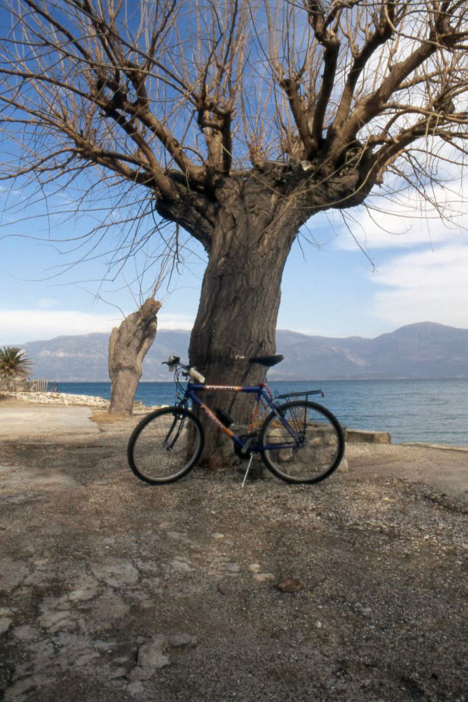 Ein Fahrrad am Strand von Selianitika - Σελιανίτικα by PetraStoll