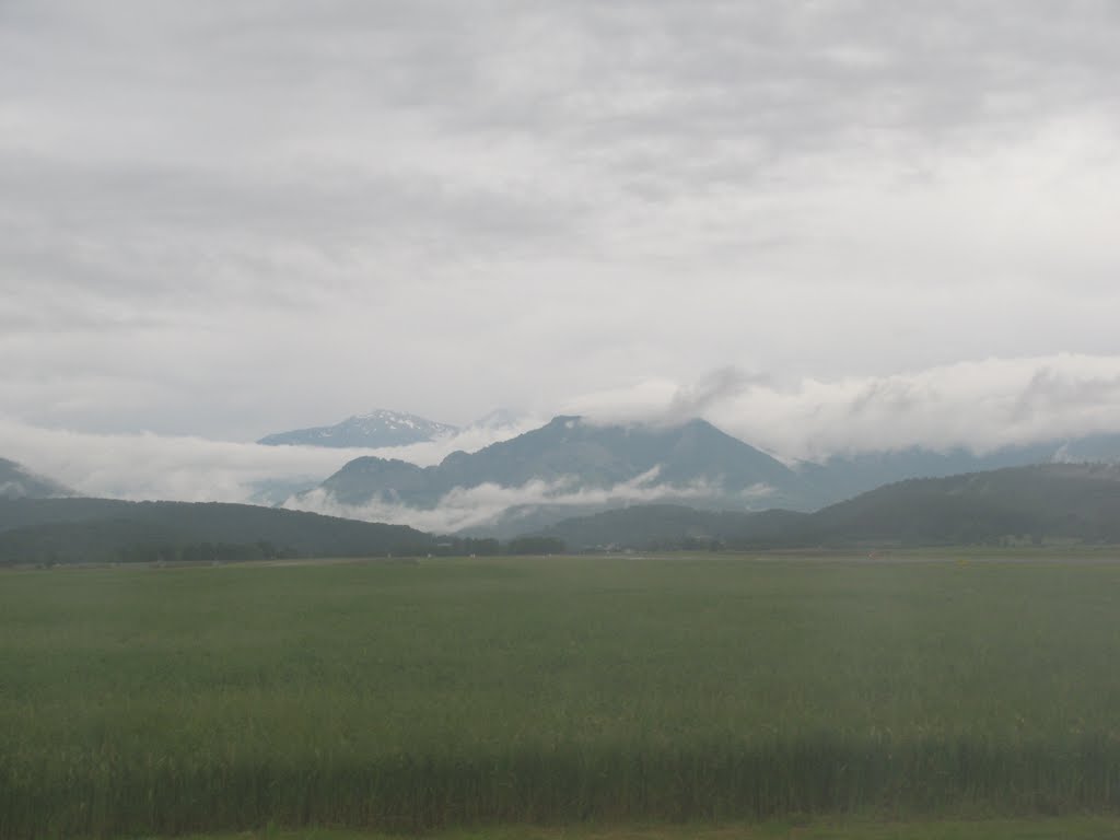 Pyrénées by Doucette