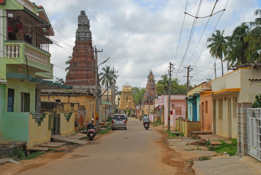 Main street in the fort by John van Leeuwen