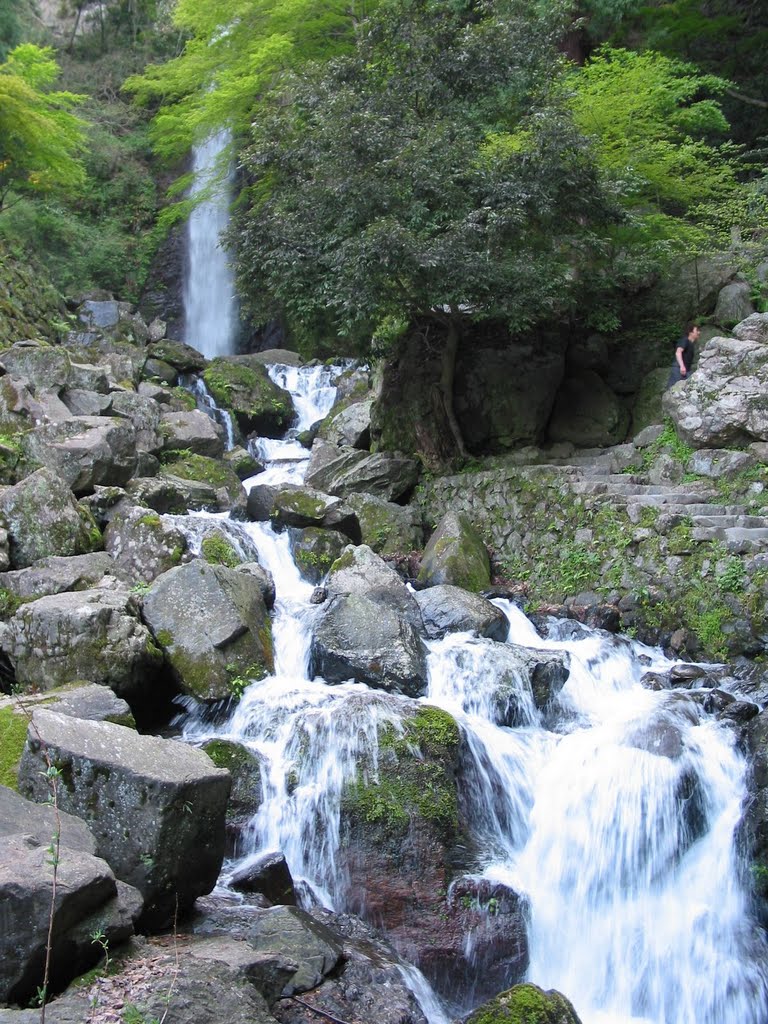 Yoro Falls, 養老の滝 by plumgarden