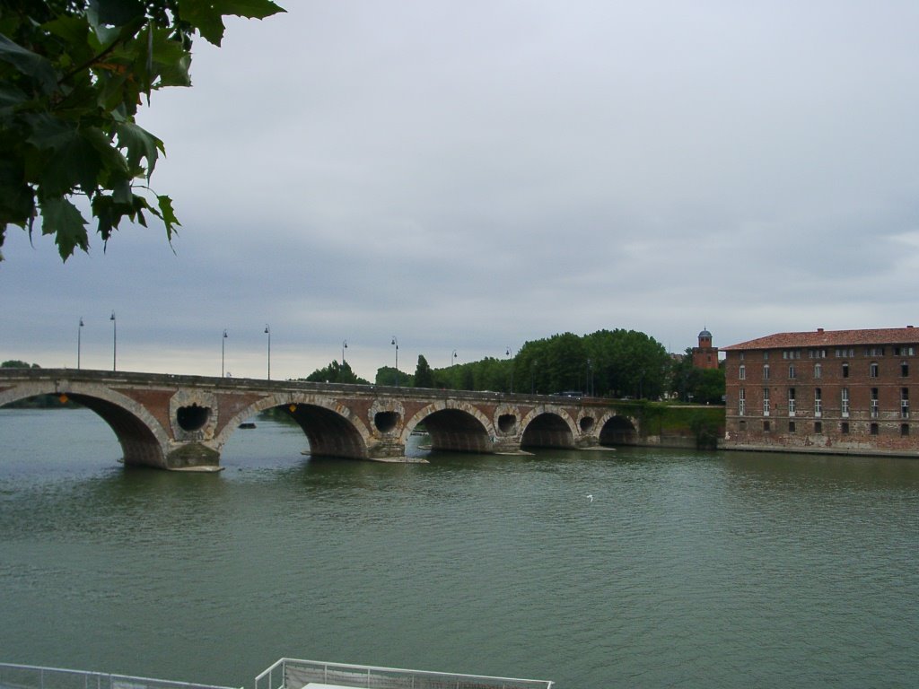 Le Pont Neuf by Kovalcsik Andras