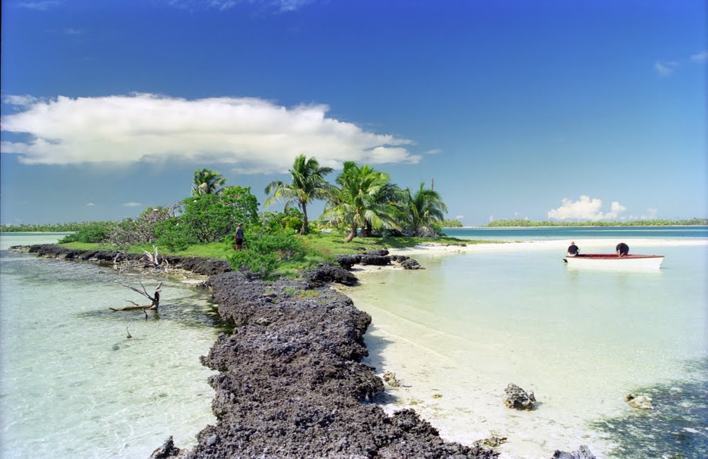 Le motu aux oiseaux à Mataiva by stephane.labrosse