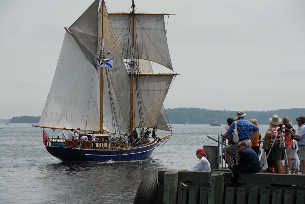 Halifax Harbour Tallship TS Playfair by paul toman