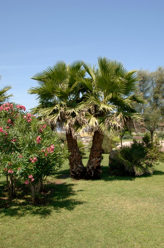 Porto Torres, parco Chico Mendez by Gavino Ruggiu