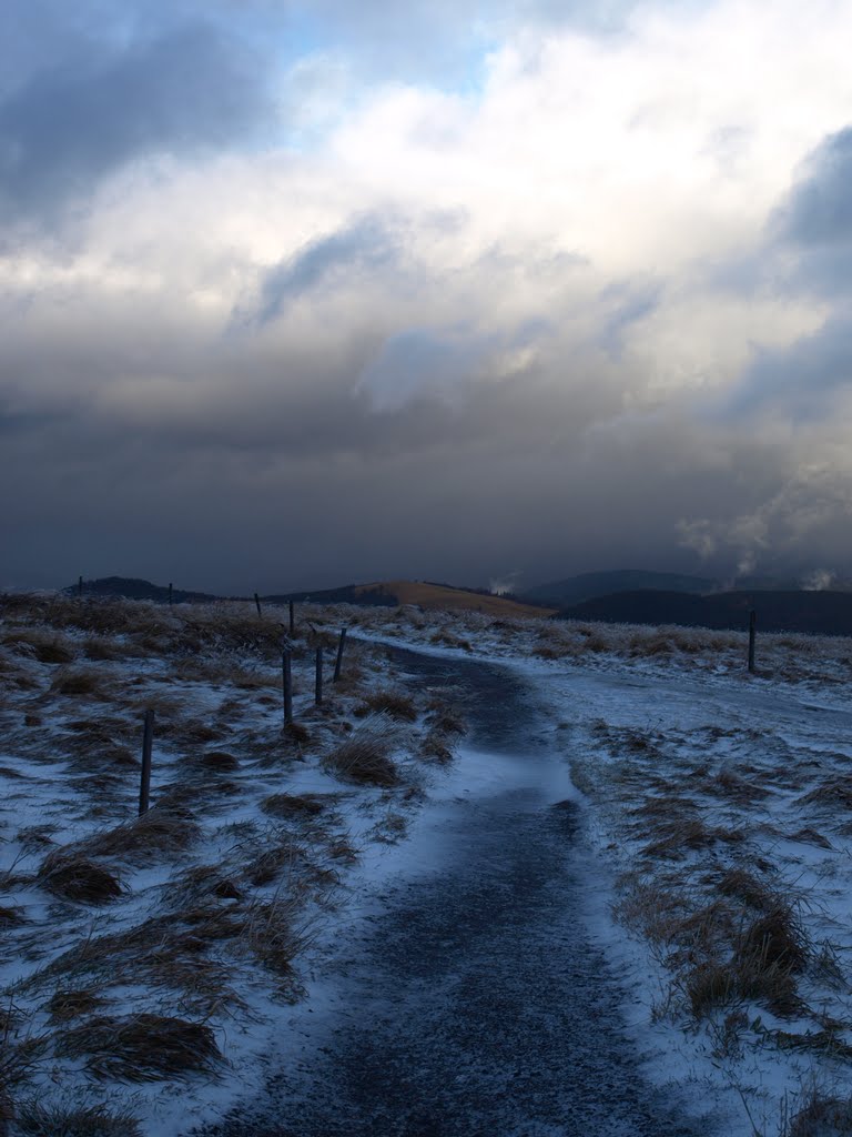 On the Feldberg summit by Dianora di Tigana