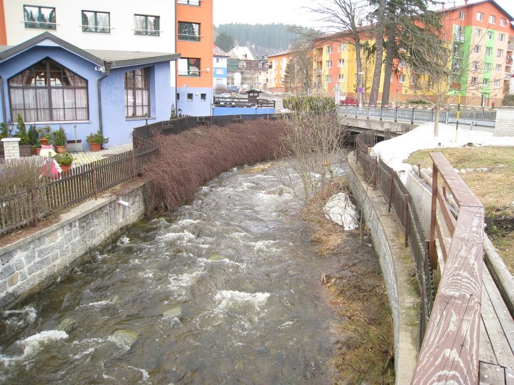 Fluss in Zelezna Ruda by dholke