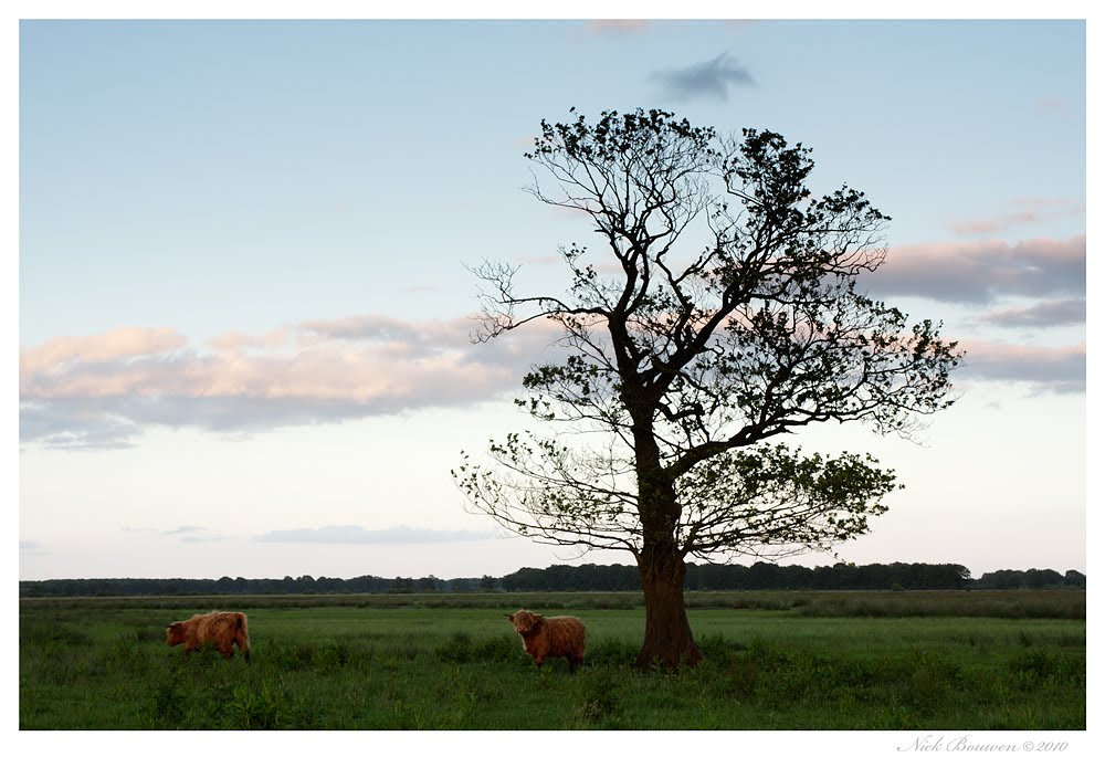 Mepper Hooilanden by Niek Bouwen