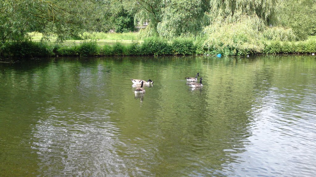 Little Ouse River. by Bogdan O.357