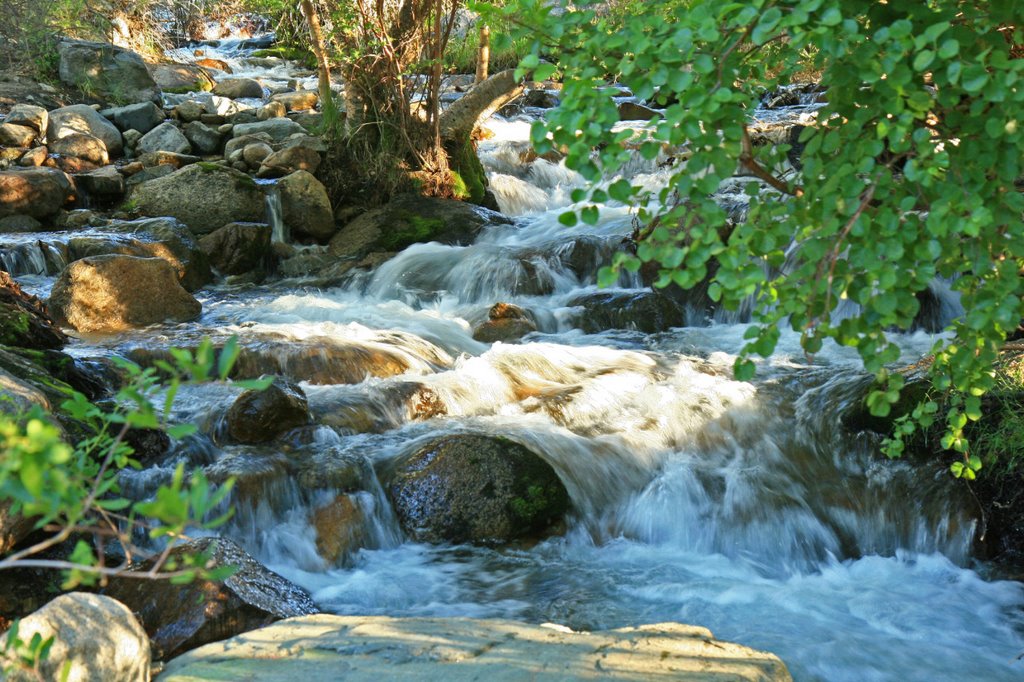 Mountain Stream ...06.25.07* by Richard Campbell