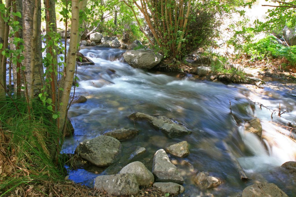 Mountain Stream ...06.23.07* by Richard Campbell