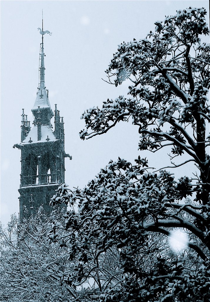 Place du donjon à Toulouse by gallou bruno