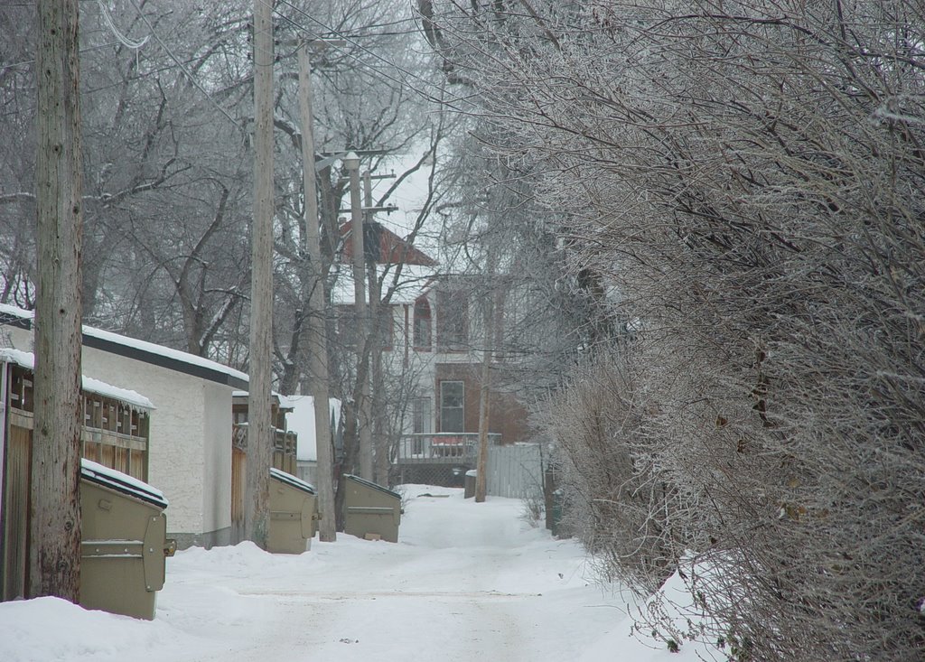 Winter Lane by good dog