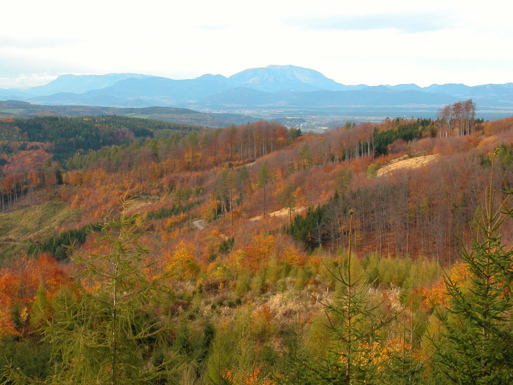 Herbst im Rosaliengebirge 2 by Michael Pigler