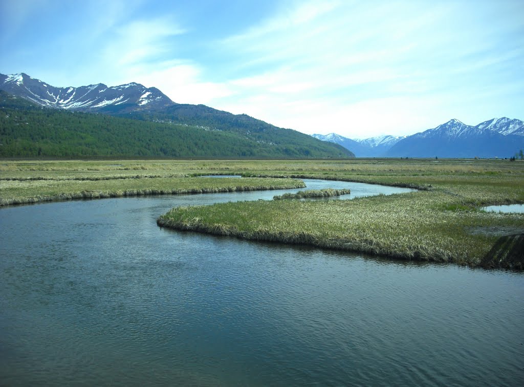 Potter Marsh, Anchorage, Alaska by amanda.rose.landers